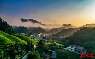 大胜短视频制作公司 大道向前·湘村新时代｜常德大胜村：短视频成新农具 流量成了新农资